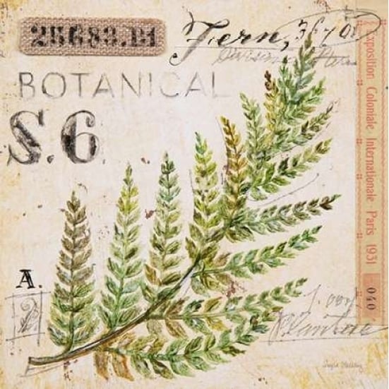 Fern Leaf-Sketchbook Poster Print by Angela Staehling-VARPDX231STA2273 Image 2