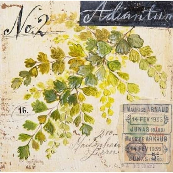 Maidenhair Fern-Sketchbook Poster Print by Angela Staehling-VARPDX231STA2276 Image 1