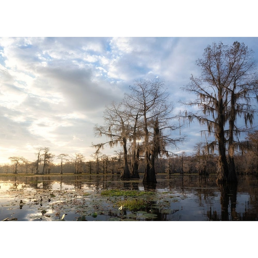 Bayou Sunrise IV Poster Print - Danny Head-VARPDX232038 Image 1