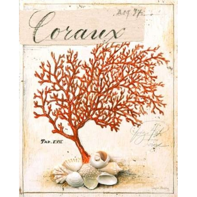 Coral No.5 Sketchbook Poster Print by Angela Staehling-VARPDX231STA2286 Image 2