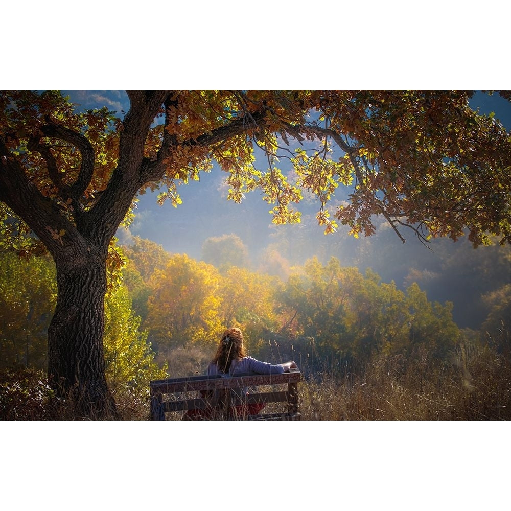 Woman Sitting On A Bench Under A Tree And Facing A Yellow Autumn Poster Print - Vio Oprea-VARPDX2322064 Image 1