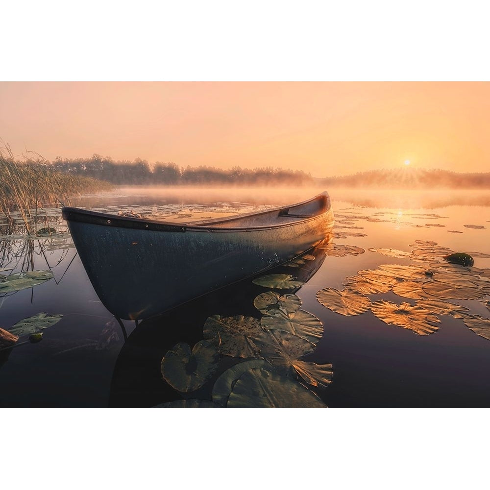 Sunrise in the fog Poster Print - Dariusz Budyta-VARPDX2340074 Image 1