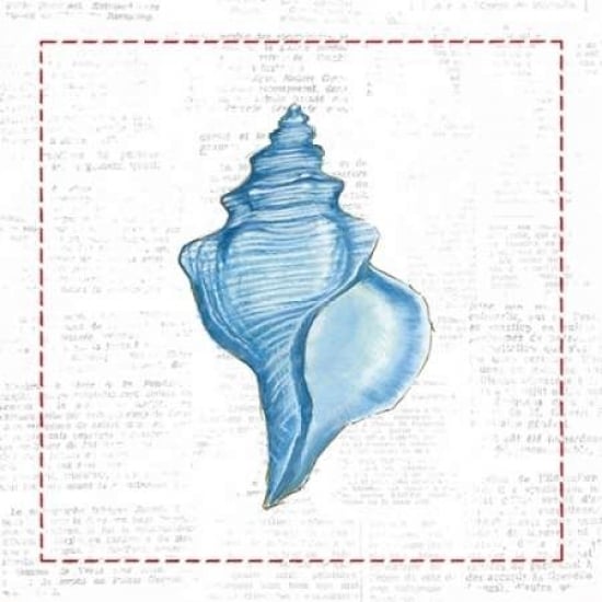 Navy Conch Shell on Newsprint with Red Poster Print by Emily Adams-VARPDX23554 Image 1