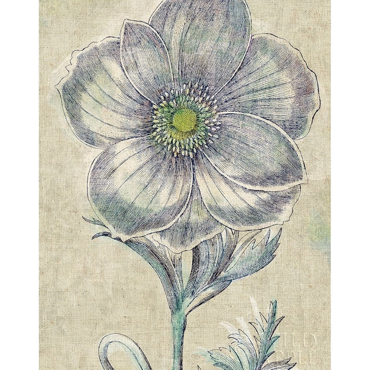 Belle Fleur Ii Crop Linen Poster Print by Sue Schlabach-VARPDX23659 Image 1