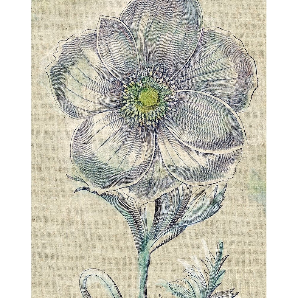 Belle Fleur Ii Crop Linen Poster Print by Sue Schlabach-VARPDX23659 Image 2