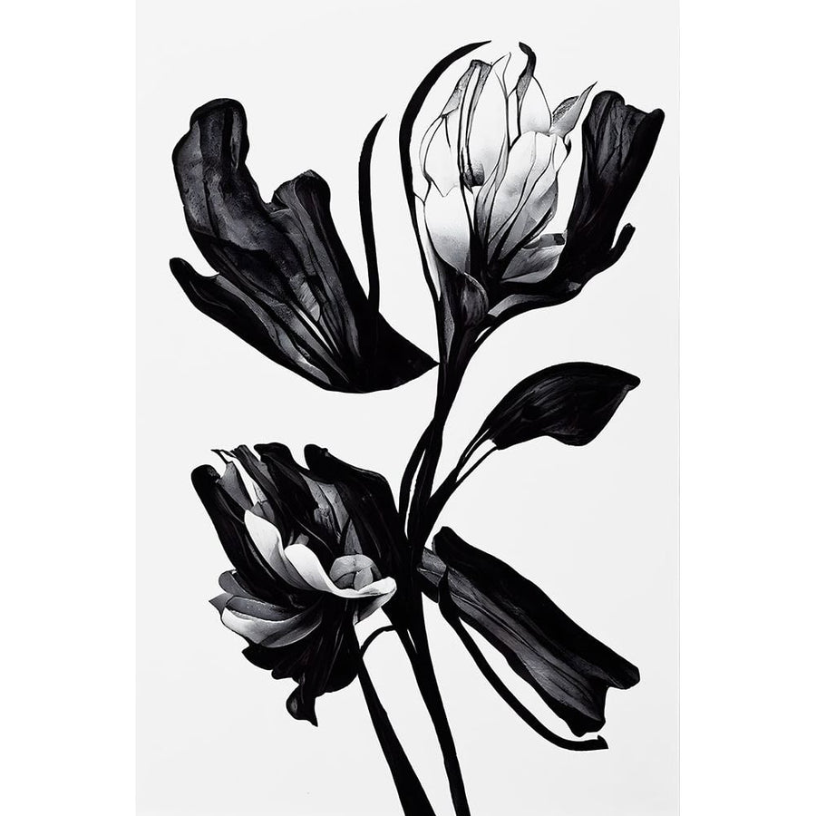 Black Flower Poster Print - Treechild-VARPDX2376115 Image 1