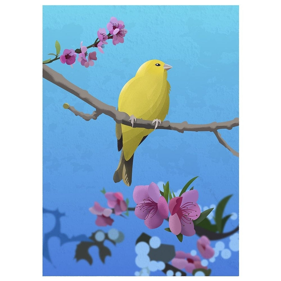 Goldfinch Poster Print - Franco Caballero-VARPDX2379411 Image 1