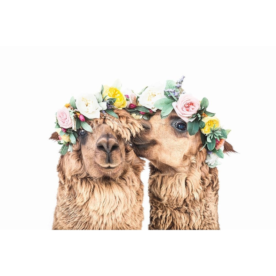 Boho Alpacas Poster Print - Kathrin Pienaar-VARPDX2382019 Image 1