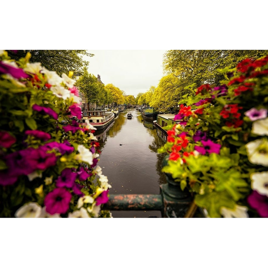 Floral In Amsterdam Poster Print - Merthan Kortan-VARPDX2388109 Image 1