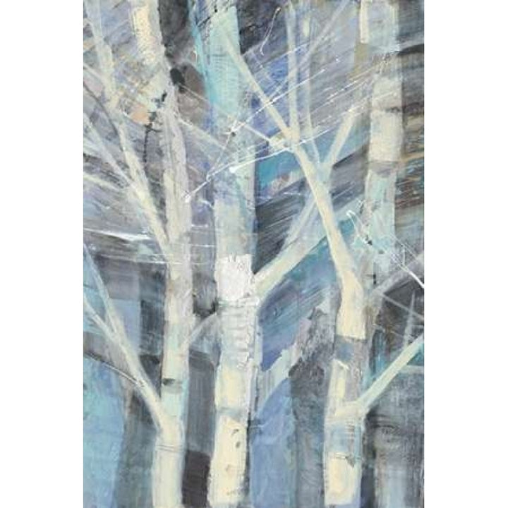 Winter Birches I Poster Print by Albena Hristova-VARPDX23891 Image 1