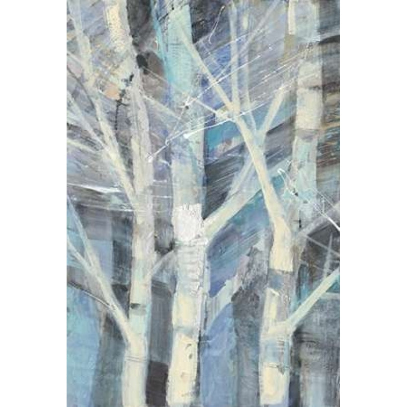 Winter Birches I Poster Print by Albena Hristova-VARPDX23891 Image 2