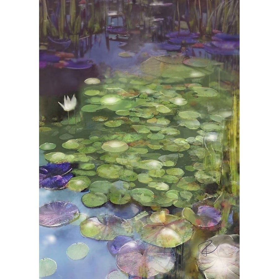 Lily Pad Pond Poster Print - Ruth Day-VARPDX2407378 Image 1