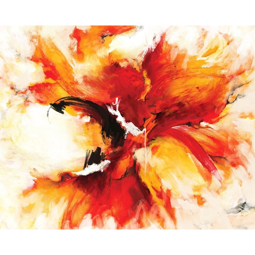 The Phoenix Poster Print - Art Group Circle-VARPDX2417546 Image 1