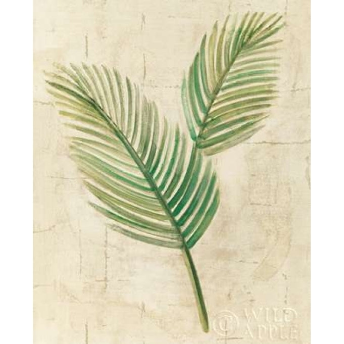 Sago Palm Leaves Neutral Crop Poster Print by Albena Hristova-VARPDX24273 Image 2