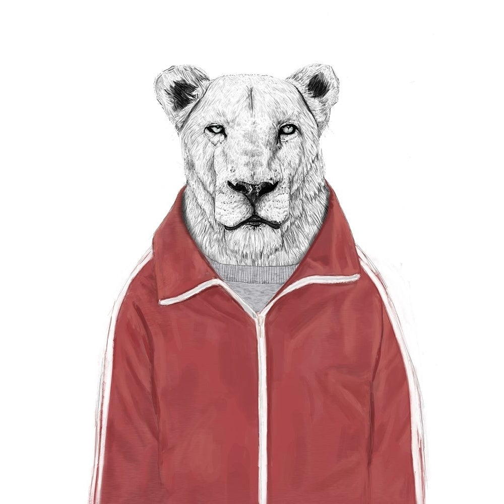 Sporty Lion Poster Print - Balazs Solti-VARPDX2431432 Image 1