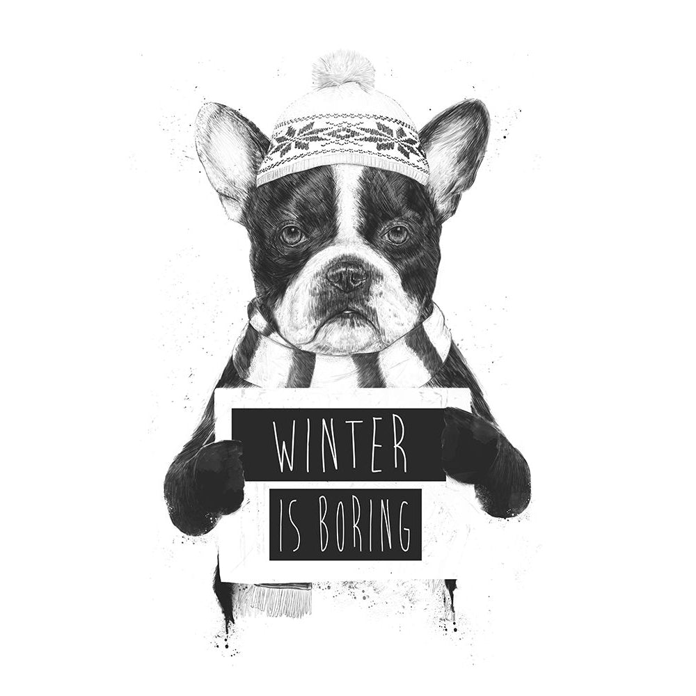 Winter is boring Poster Print - Balazs Solti-VARPDX2431448 Image 1