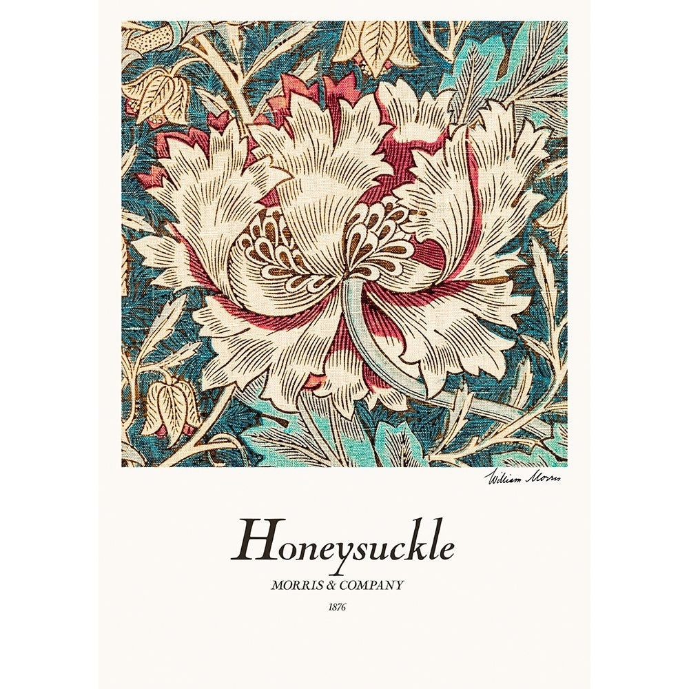 Honeysuckle Poster Print - Pictufy-VARPDX2438871 Image 1