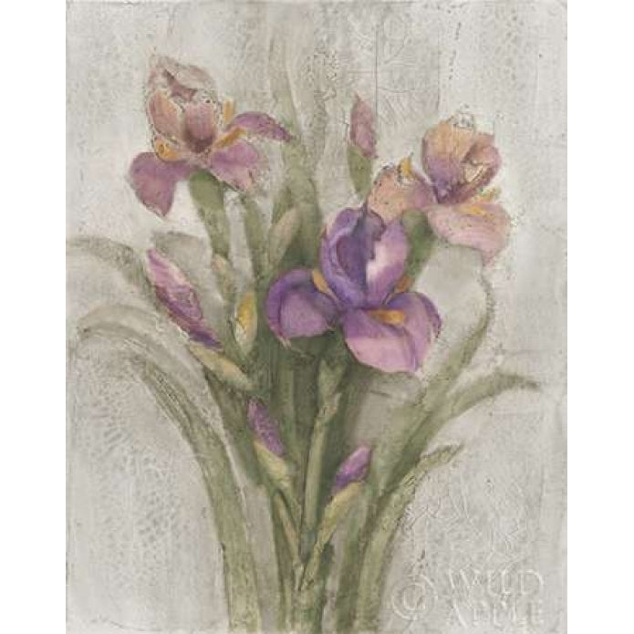 Purple Iris Garden on Grey Poster Print by Albena Hristova-VARPDX24464 Image 2