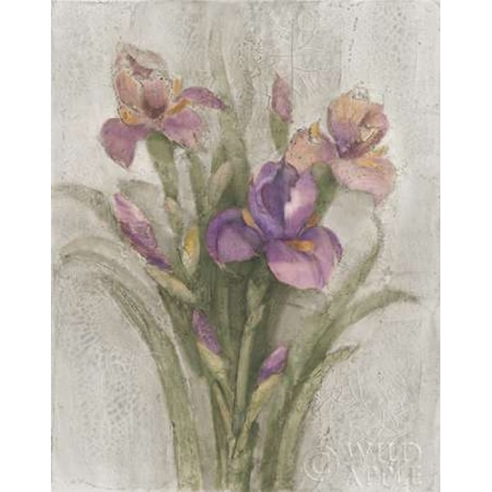 Purple Iris Garden on Grey Poster Print by Albena Hristova-VARPDX24464 Image 1