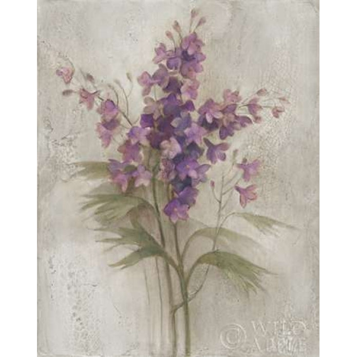 Purple Larkspur Garden on Grey Poster Print by Albena Hristova-VARPDX24465 Image 1