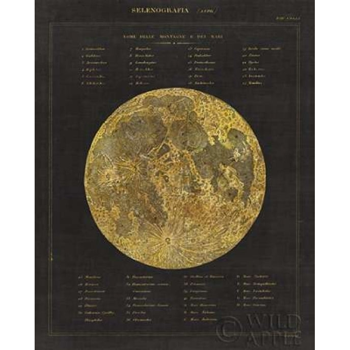 Astronomical Chart I Poster Print by Wild Apple Portfolio-VARPDX24483 Image 2