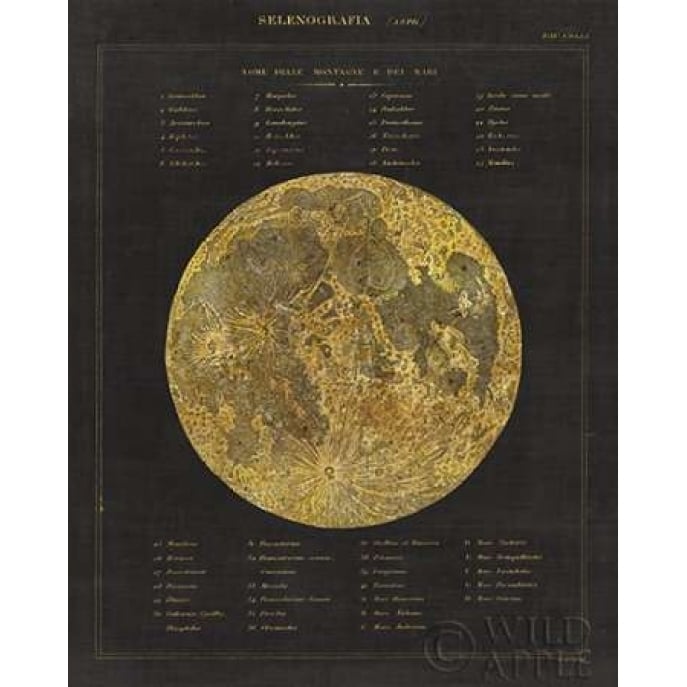 Astronomical Chart I Poster Print by Wild Apple Portfolio-VARPDX24483 Image 1