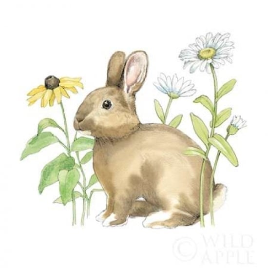 Wildflower Bunnies II Sq Poster Print by Beth Grove-VARPDX24700 Image 2