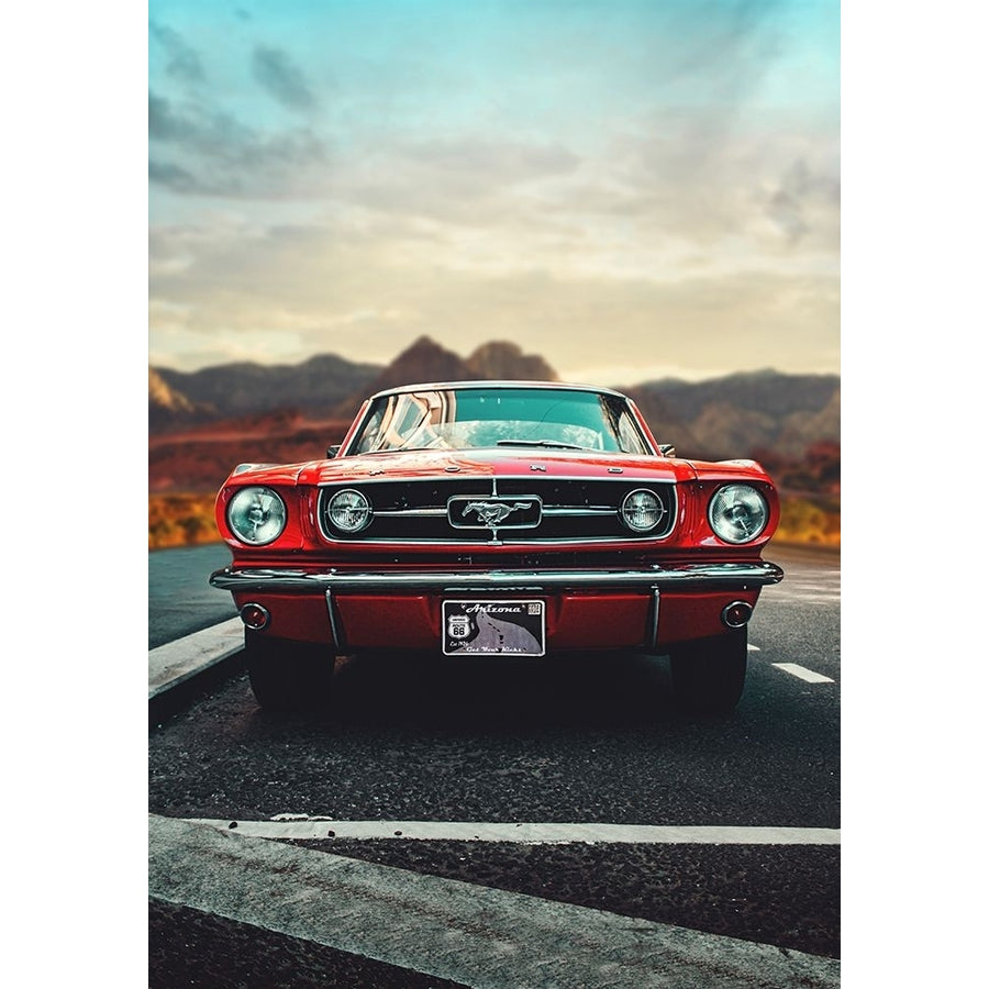 Mustang Love Poster Print - Fadil Roze-VARPDX2480538 Image 1