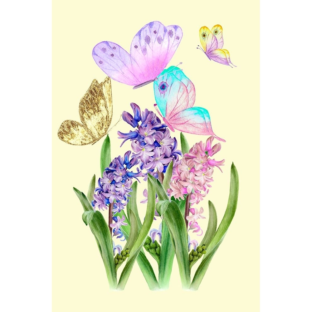 Flowers and butterflies Poster Print - Aal Hussein Abdel-VARPDX2482652 Image 1