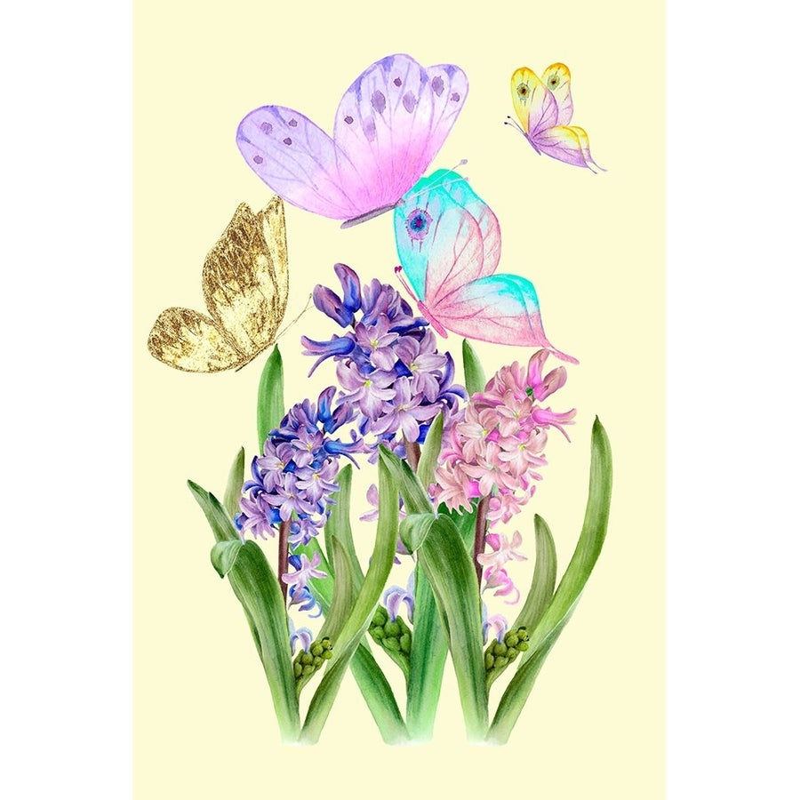 Flowers and butterflies Poster Print - Aal Hussein Abdel-VARPDX2482652 Image 1