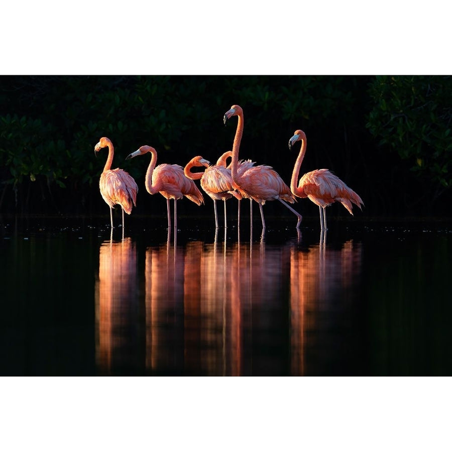 Pink Dawn Poster Print - Gustavo Costa-VARPDX2489026 Image 1