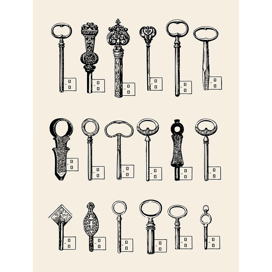 Usb Keys Poster Print - Florent Bodart-VARPDX2489753 Image 1