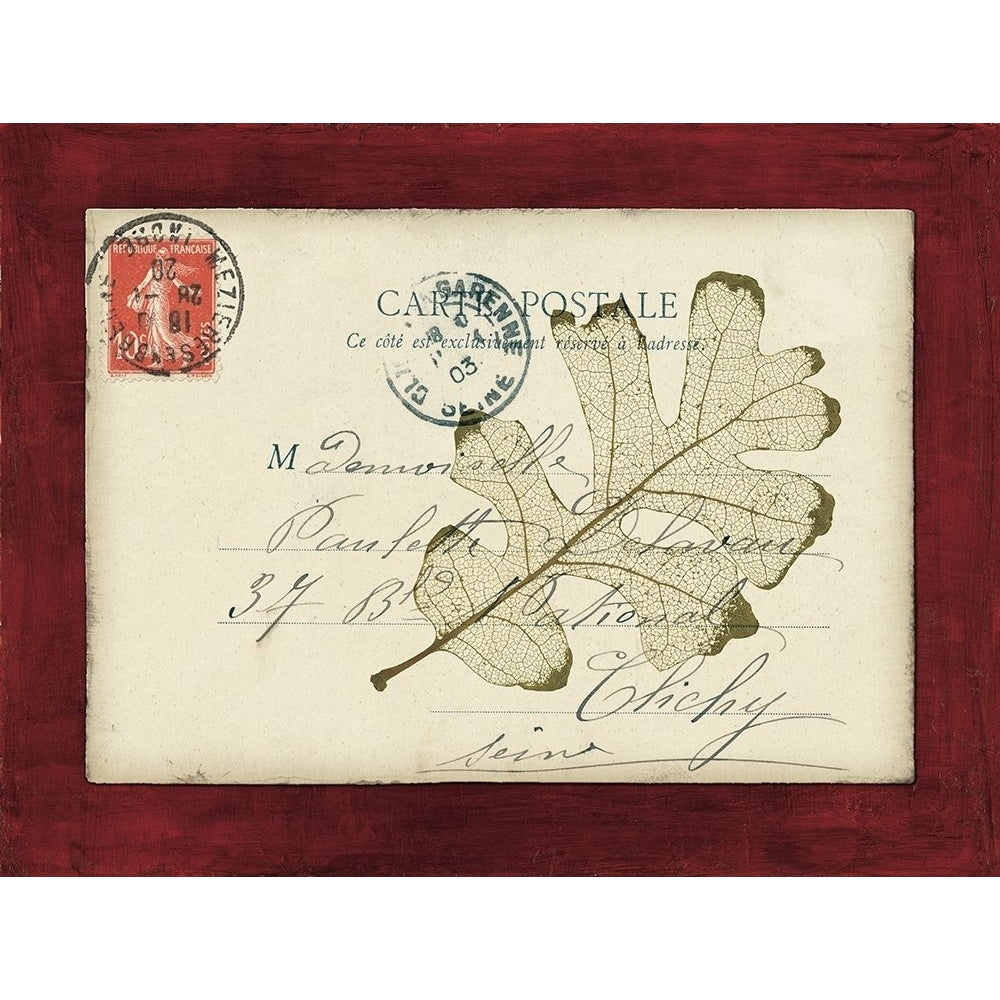 Rose Leaf Envelope Poster Print by Booker Morey-VARPDX248MOR1006 Image 1