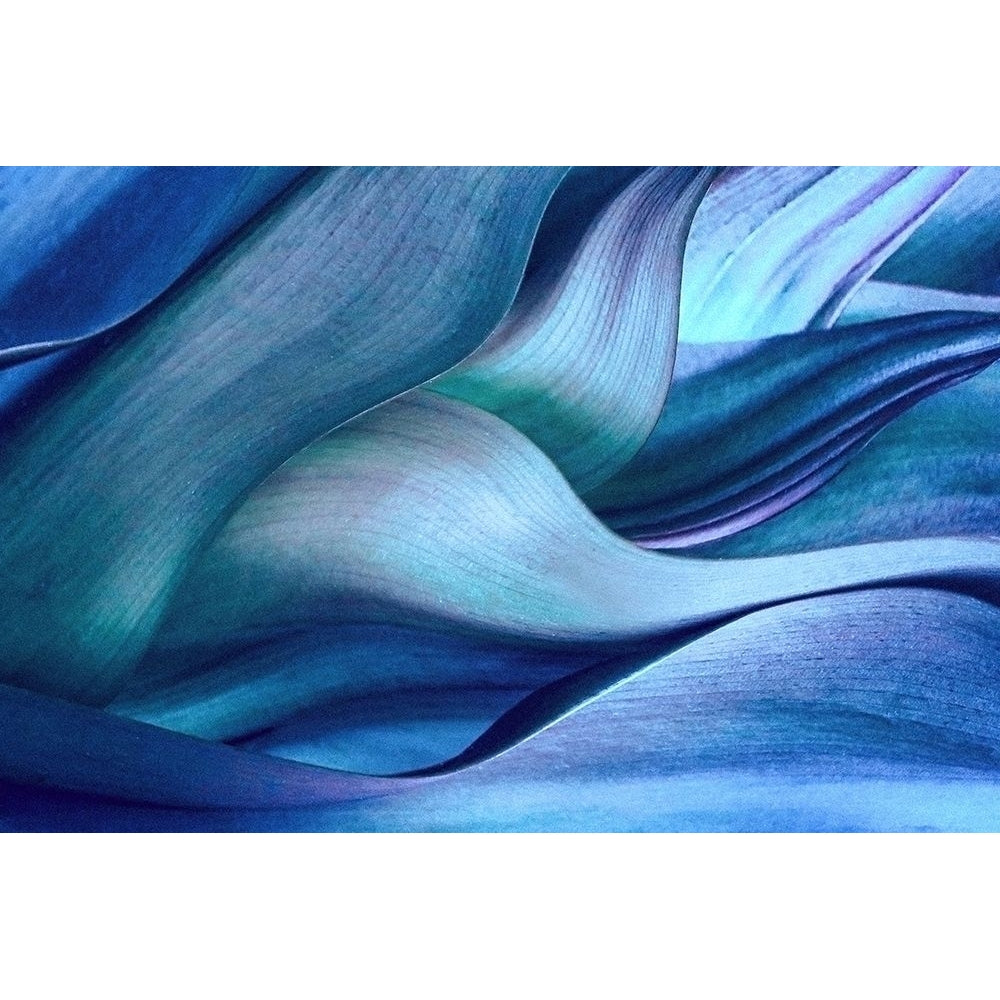 Shades Of Blue Poster Print - Robin Wechsler-VARPDX2496960 Image 1