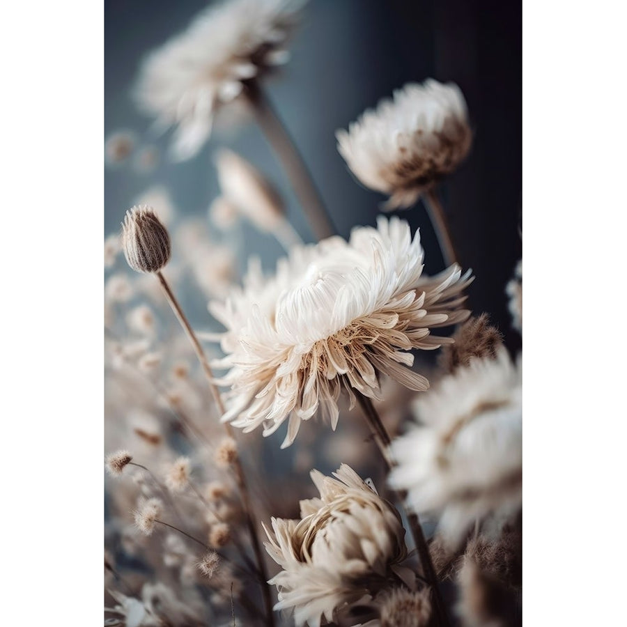 Dry Pastel Flowers No 2 Poster Print - Treechild-VARPDX2496937 Image 1