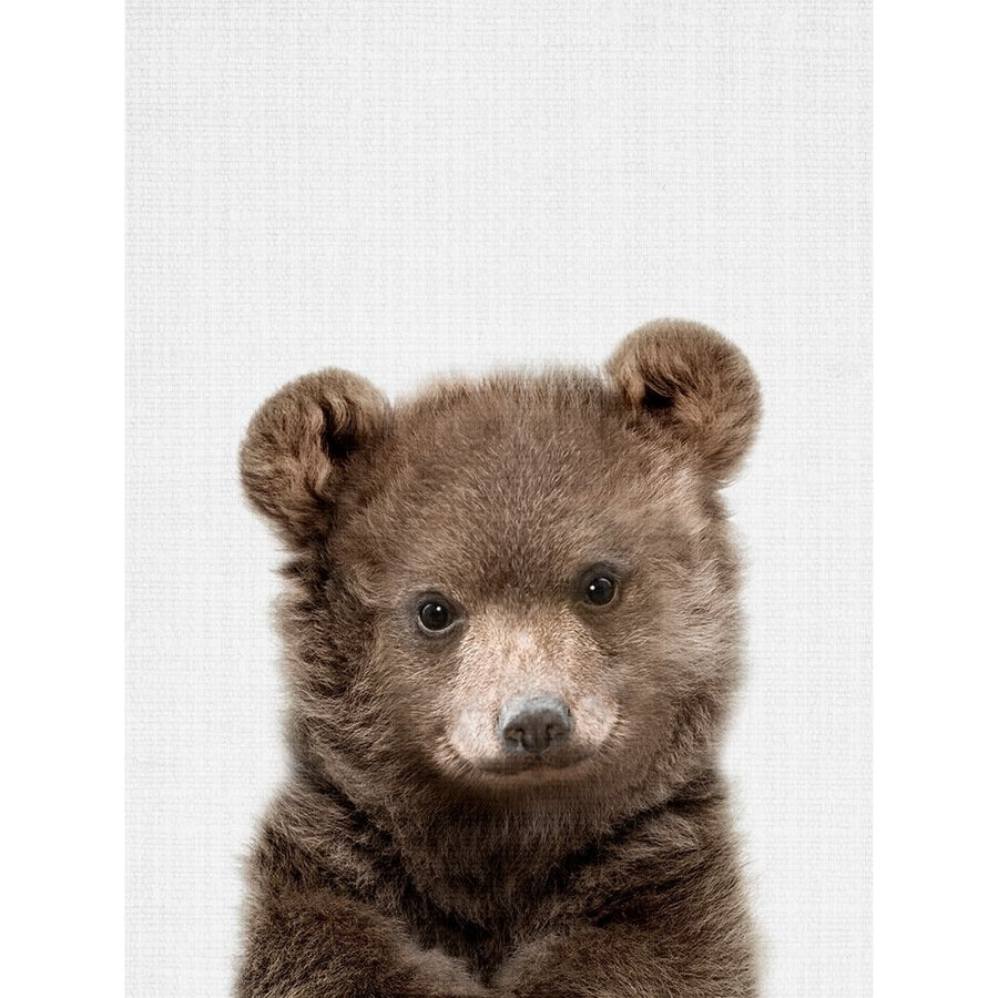 Peekaboo Baby Bear Poster Print - Lola Peacock-VARPDX2497419 Image 1