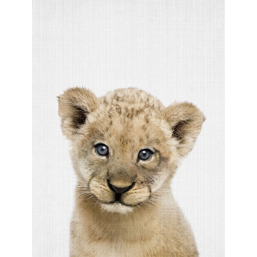 Peekaboo Baby Lion Poster Print - Lola Peacock-VARPDX2497422 Image 1