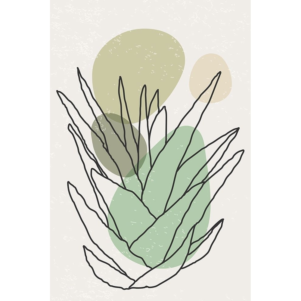 Color Abstract Agave 2 Poster Print - Jay Stanley-VARPDX2499944 Image 1