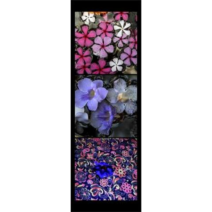 Floral Pond Poster Print by Michel Rauscher-VARPDX249RAU1071CI Image 2