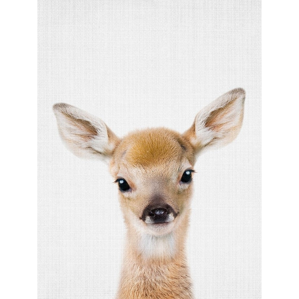 Peekaboo Baby Deer Poster Print - Lola Peacock-VARPDX2501260 Image 1