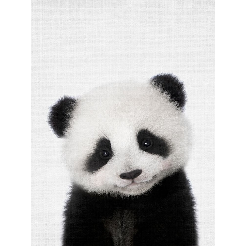 Peekaboo Baby Panda Poster Print - Lola Peacock-VARPDX2501270 Image 1