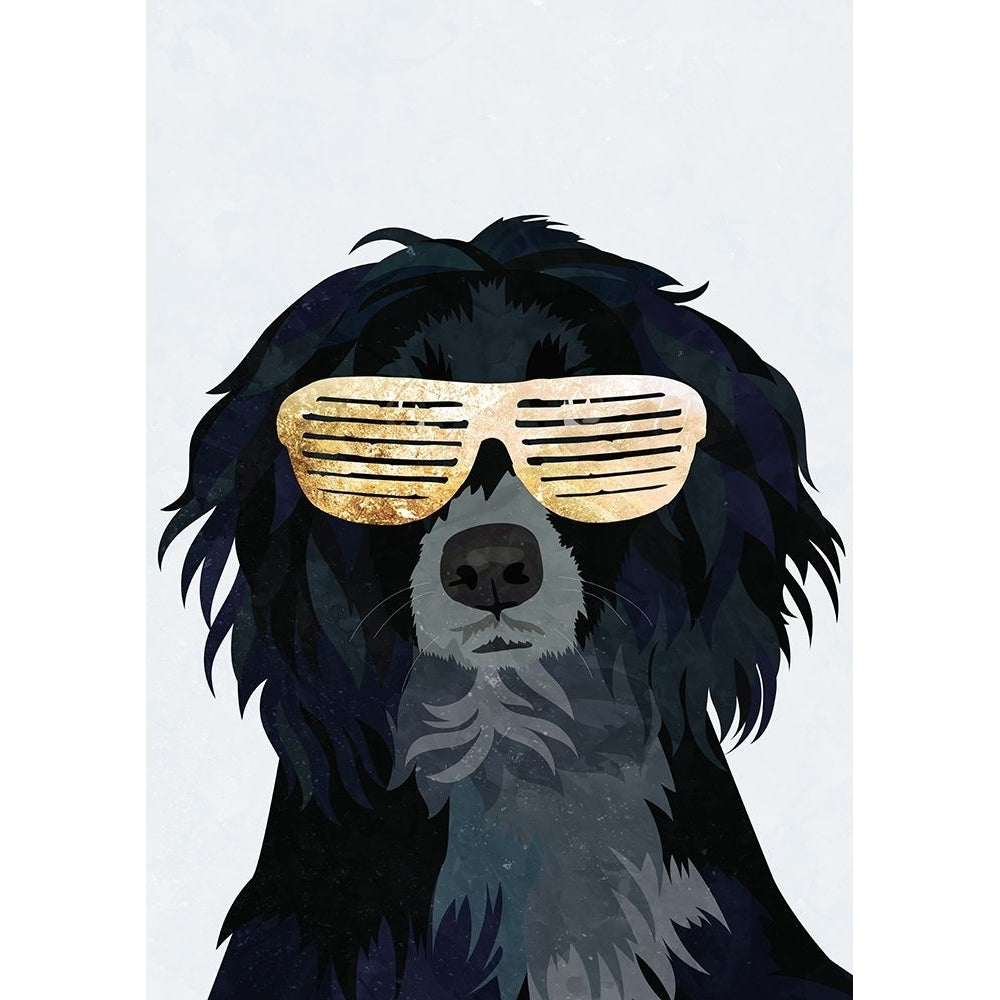 Hiphop Cockerspaniel Poster Print - Sarah Manovski-VARPDX2506498 Image 1