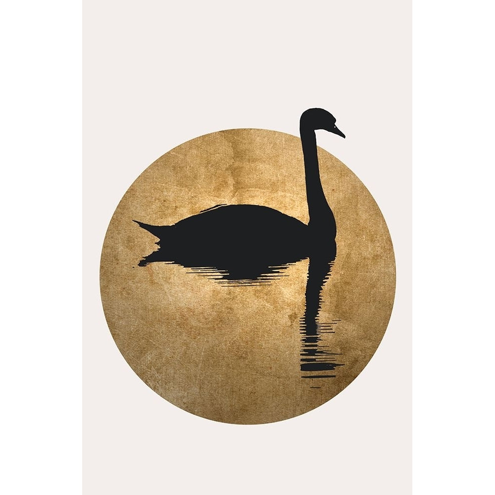 The Swan Gold Poster Print - Kubistika-VARPDX2512524 Image 1