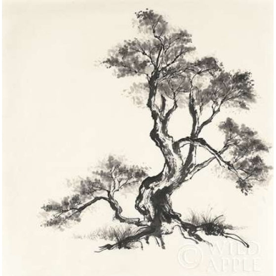 Sumi Tree I Poster Print by Chris Paschke-VARPDX25175 Image 1