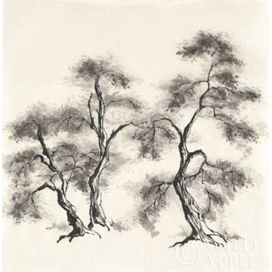 Sumi Tree III Poster Print by Chris Paschke-VARPDX25177 Image 1