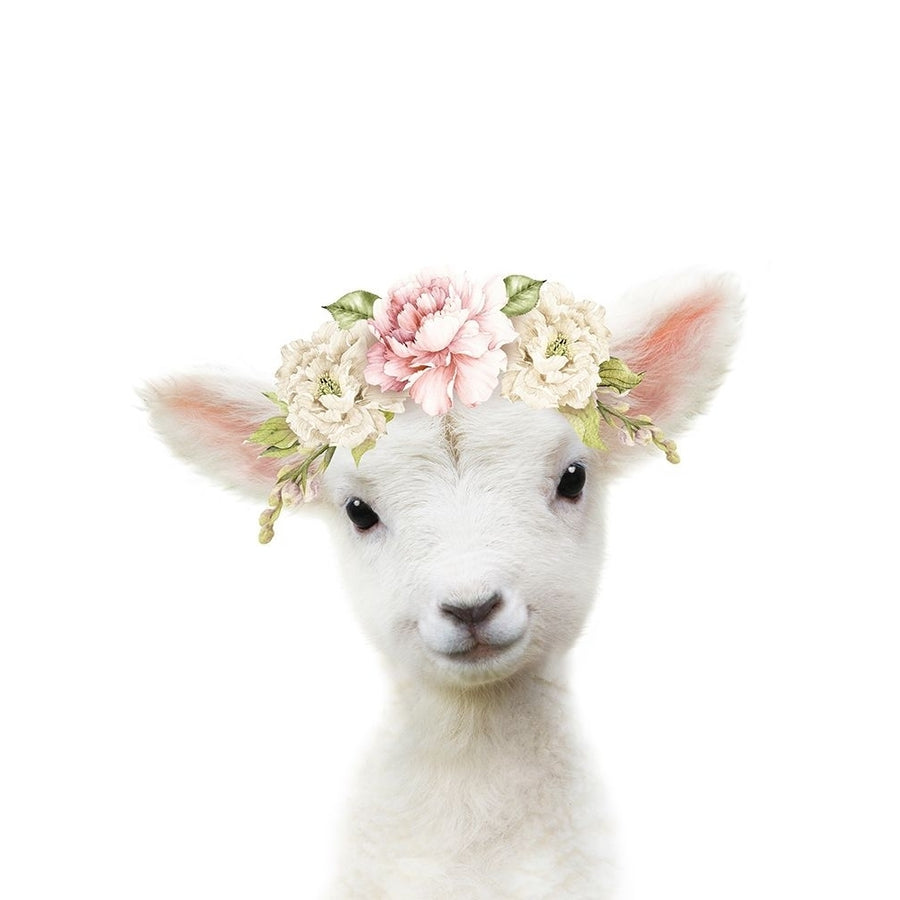 Floral Baby Sheep Poster Print - Lola Peacock-VARPDX2523095 Image 1