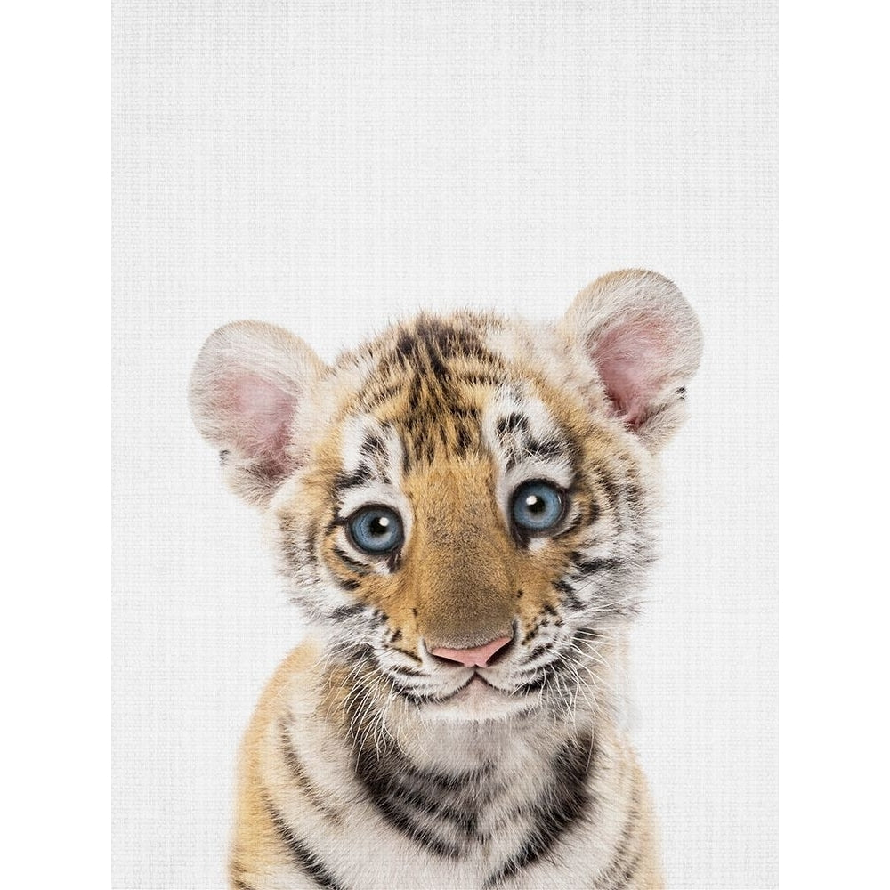 Peekaboo Baby Tiger Poster Print - Lola Peacock-VARPDX2523172 Image 1