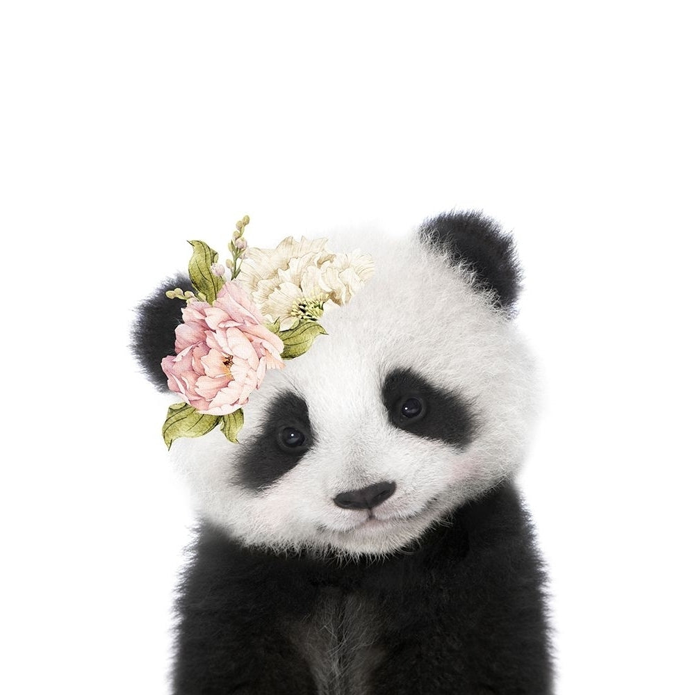 Floral Baby Panda Poster Print - Lola Peacock-VARPDX2523100 Image 1