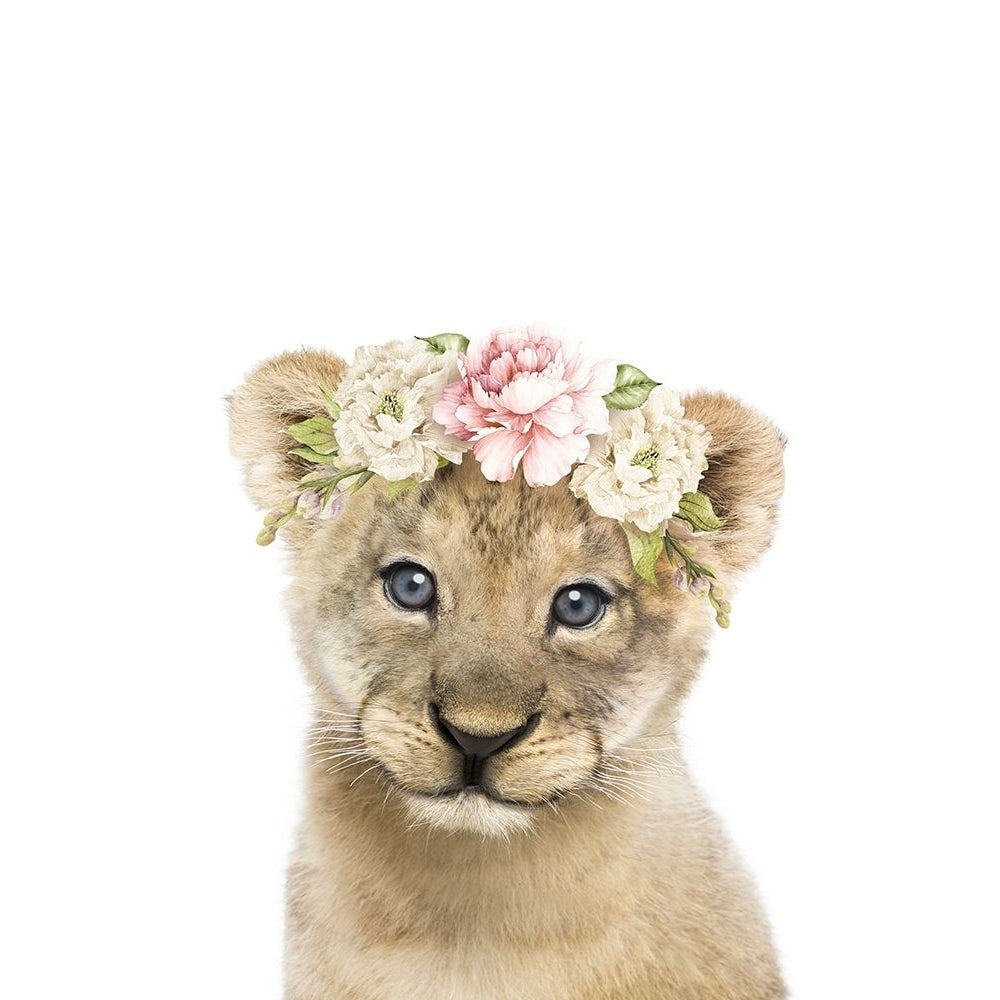 Floral Baby Lion Poster Print - Lola Peacock-VARPDX2523109 Image 1