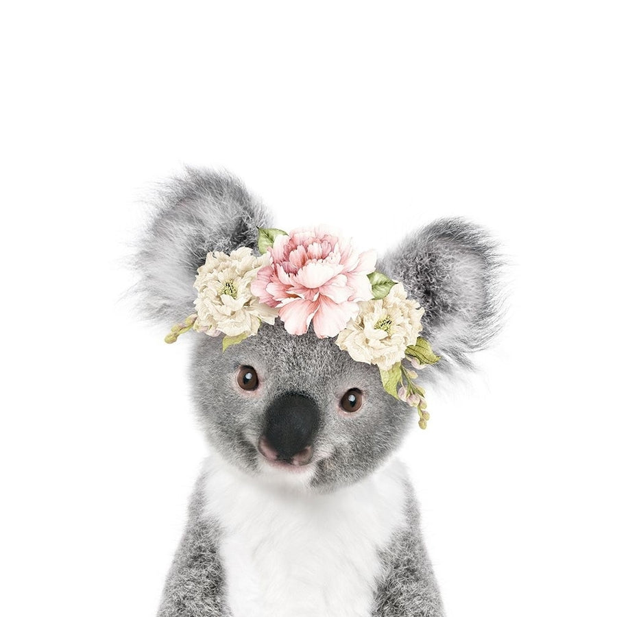 Floral Baby Koala Poster Print - Lola Peacock-VARPDX2523118 Image 1